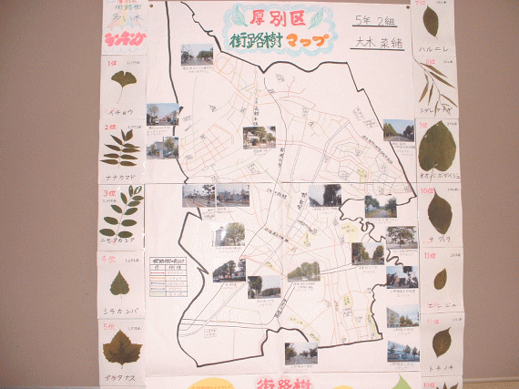 画像：：厚別区街路樹マップ