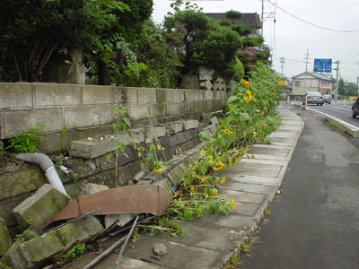 ブロック塀が倒壊している写真