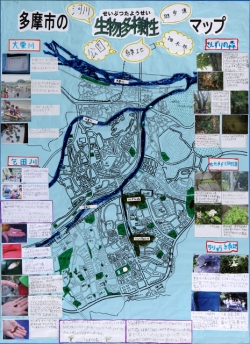 作品：「多摩市の生物多様性マップ」