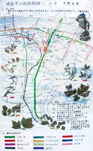 作品：徳島市の街路樹調べ