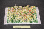 作品：地形模型「旧東祖谷山の峠」