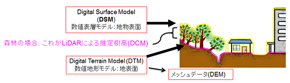 DCMとDSMの違いを示した図