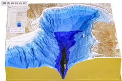 作品：地図模型「駿河湾」