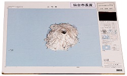 作品名：地図模型「三宅島」
